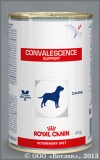 ���� ����� ����� ��� ����� � ������ ������������� (Convalescence Support), ����� 410 �