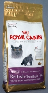 ���� ����� ���� ��� ���������� ��������������� ������ 12 ������� (459004 British Shorthair 34), ��. 400 �
