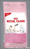 ���� ����� ��� ����� �� 1 �� 4 ������� (413020/7312 Royal Canin Mother & Babycat 34), ��. 2 ��