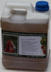 ����� ����, �������� 5 �