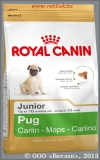 ���� ����� ���� ��� ������ ������ ���� �� 2 �� 10 ������� (Royal Canin Pug Junior), ��. 500 �