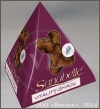 ��� �������� �������� ��������� ��� ����� (Bosch Sanabelle Vitality-Snack) ��. 20 �