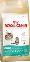 ���� ����� ���� ��� ����� ���� ����� �� 3 �� 15 ������� (543010 Kitten Maine Coon 36), ��. 10 ��