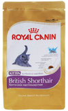 ���� ����� ���� ��� ����� ���������� ��������������� (Kitten British Shorthair 541020), ��. 2 ��