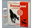 �������� (Bonharen) ������� �����, ��. 6 ��