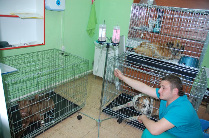 ������������ ������� ��������� vetmaster.ru