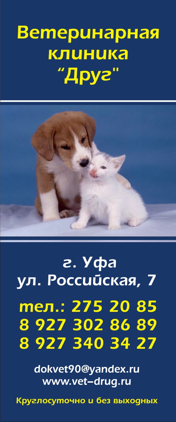 ������������ ������� "����" �� ������ �.�